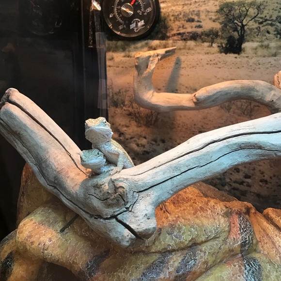 Meet your Posher, Maythe - Picture 1 of 1